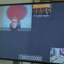 В видеосовещании участвовали заместитель министра сельского хозяйства России Елена ФАСТОВА и замглавы Росрыболовства Василий СОКОЛОВ. Фото пресс-службы правительства Северной Осетии - Алании