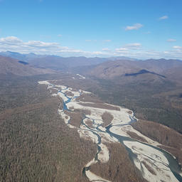 Река Амур