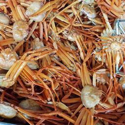 Государству необходимо внимательно относится к такому специфичному промысловому объекту, как глубоководные крабы