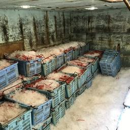 Предварительный ущерб оценивают почти в 40 млн рублей. Фото пресс-группы Погрануправления ФСБ России по Приморскому краю
