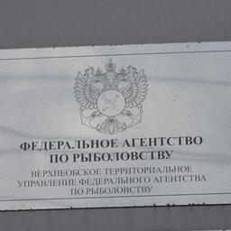 Торги организует Верхнеобское теруправление Росрыболовства