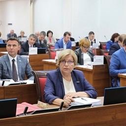 Региональные депутаты приняли изменения в первом чтении. Фото пресс-службы Законодательной думы Хабаровского края