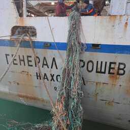 Размотка винта на БМРТ «Генерал Трошев» происходила в новогодние праздники. Водолазы спасательного отряда трудились больше недели. Фото предоставлено Дальневосточным ЭО АСР