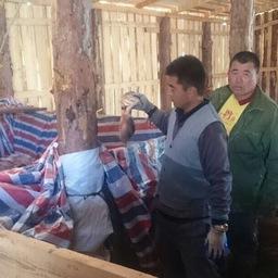 Работники сомнительного цеха. Фото пресс-службы Амурского теруправления Росрыболовства