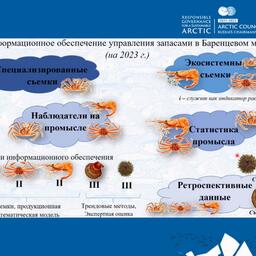 Информационное обеспечение управления запасами в Баренцевом море