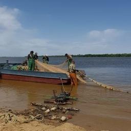 В последние два года зафиксировано снижение объема добычи сельди-черноспинки. Фото пресс-службы КаспНИРХ