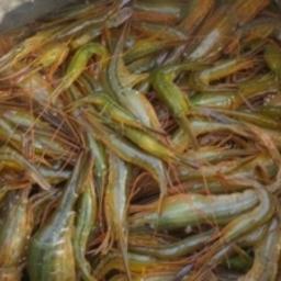 Незаконный улов шримса. Фото пресс-службы УМВД России по Сахалинской области