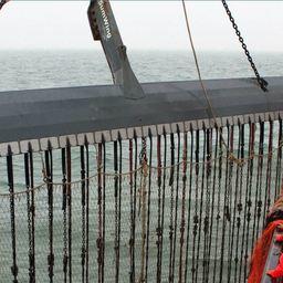 Трал-электролов. Фото с сайта Pulsefishing.eu