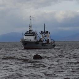 Промысловое судно на Камчатке