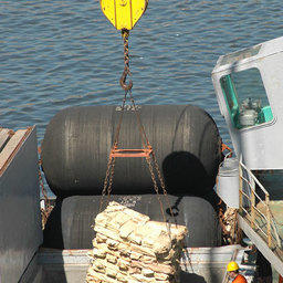 Выгрузка рыбы во Владивостоке