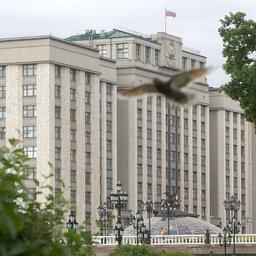 Госдума приняла в первом чтении законопроект по усовершенствованию системы ветеринарного надзора. Фото пресс-службы ГД