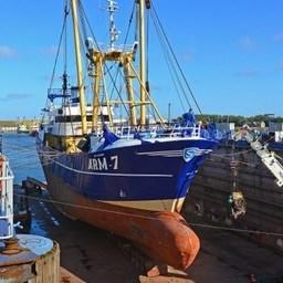 Свое присутствие на IV Global Fishery Forum and Seafood Expo Russia подтвердили традиционные участники в сегменте судостроения. Фото предоставлено ESG