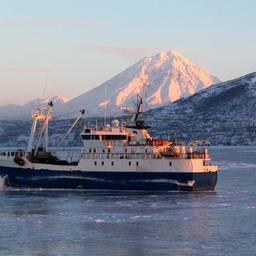 Ярусоловы приступили к расширению MSC-сертификации