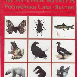 В Республике Саха (Якутия) планируют пересмотреть статус кеты в региональной Красной книге