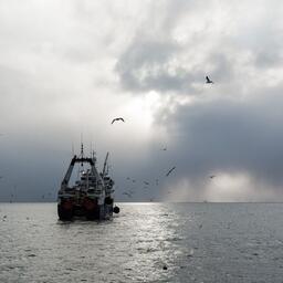 Австралия готовится ратифицировать Договор ООН об открытом море. Архивное фото