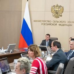 Итоговое заседание коллегии Министерства сельского хозяйства провел глава Минсельхоза Дмитрий ПАТРУШЕВ. Фото пресс-службы ведомства