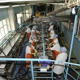 Цех рыбообработки рыболовецкой артели (колхоза) имени 50 лет Октября, Хабаровский край