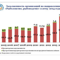 График 6. Задолженность организаций по направлению деятельности «Рыболовство, рыбоводство» в 2005 – 2014 гг.
