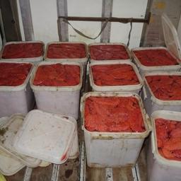 Во время осмотра иномарки стражи порядка обнаружили в салоне 10 куботейнеров икры весом 25 кг каждый. Фото пресс-службы УМВД России по Сахалинской области