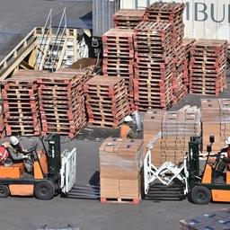 Перегрузка рыбопродукции во Владивостокском морском рыбном порту