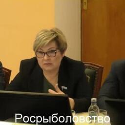 Председатель Заксобрания Камчатского края Ирина УНТИЛОВА рассказала о позиции региональных депутатов по срокам перезакрепления участков