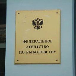 Политика Росрыболовства недотягивает до прозрачности