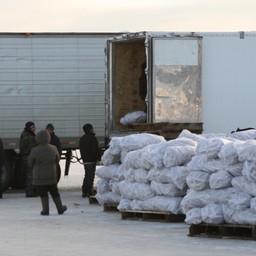 Погрузка мороженой рыбы в грузовики на Сахалине
