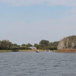 Псковское озеро, остров Колпина. Фото пресс-службы комитета по природным ресурсам и экологии Псковской области. Файл доступен по лицензии Creative Common Attribution 4.0