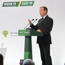О работе на продовольственном рынке премьер Дмитрий МЕДВЕДЕВ рассказал на Международном агропромышленном форуме. Фото пресс-службы правительства