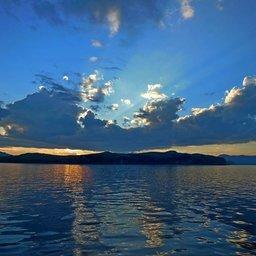 Электронные торги для аквакультуры опробуют в Приморье