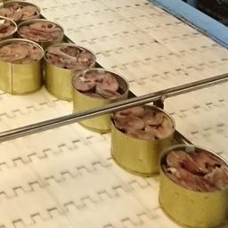 К техрегламенту Таможенного союза «О безопасности рыбы и рыбной продукции» разработают 27 межгосударственных стандартов