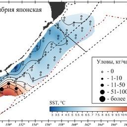 Распределение обнаруженных скоплений японской скумбрии. Изображение предоставлено пресс-службой ТИНРО