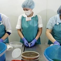 В Ямало-Ненецком автономном округе прошел региональный конкурс «Лучший обработчик рыбы». Фото пресс-службы правительства региона