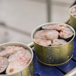 Евразийская экономическая комиссия готовит изменения в Таможенный кодекс ЕАЭС, регламентирующие ввоз рыбы, рыбной и другой продукции из уловов. Архивное фото