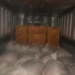 В селе Каменка на частном подворье в рефрижераторе обнаружили 2,1 тонны вареной креветки. Фото пресс-группы Пограничного управления ФСБ России по Приморскому краю