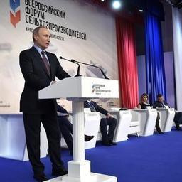 Президент Владимир ПУТИН на пленарном заседании Всероссийского форума сельхозпроизводителей. Фото пресс-службы главы государства