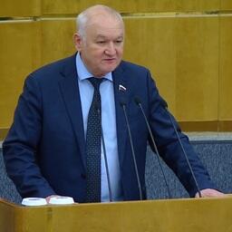 Один из инициаторов законопроекта — депутат Ильдар ГИЛЬМУТДИНОВ. Скриншот трансляции заседания ГД