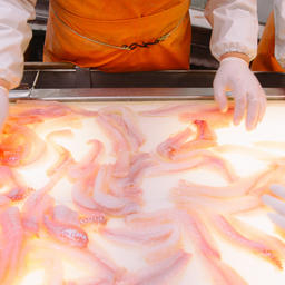Компания продолжила увеличивать выпуск продукции глубокой переработки. Фото пресс-службы РРПК